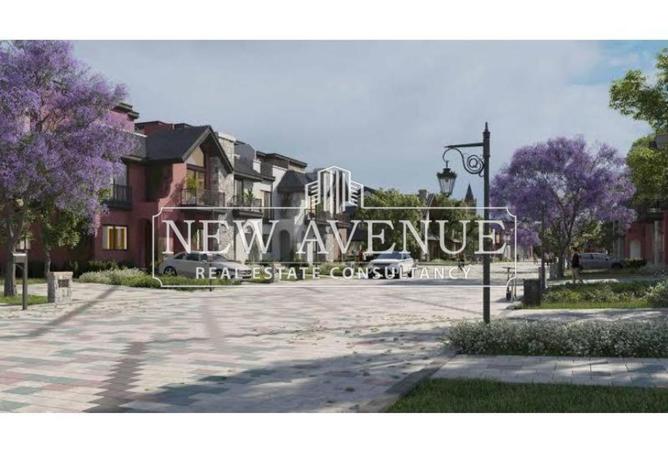 66421584 - Property Image 3