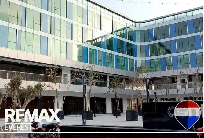 58493915 - صورة العقار 3