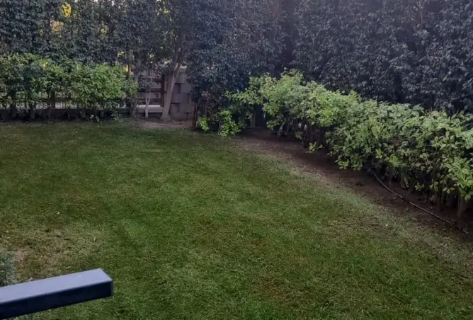 120875243 - صورة العقار 2