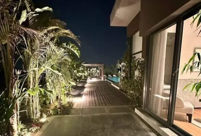 116495162 - Property Image 3