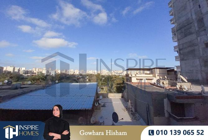 65920396 - Property Image 3