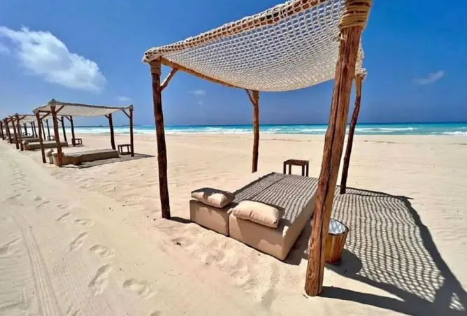 115175587 - صورة العقار 3