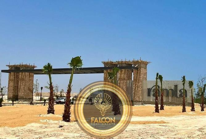 66956258 - Property Image 3