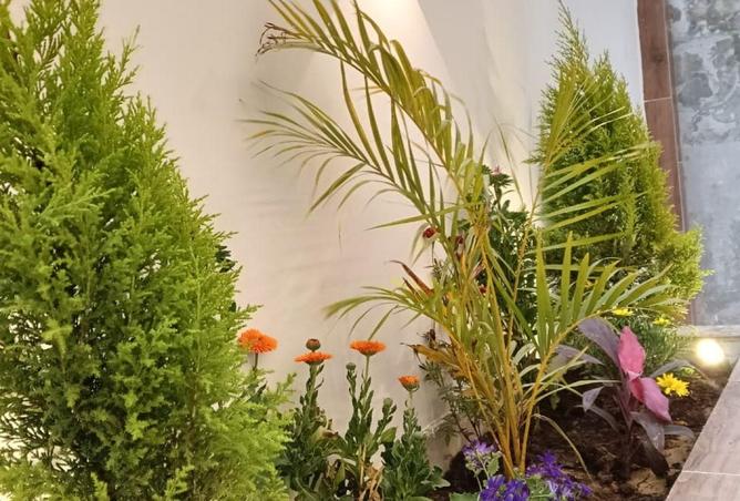 57251419 - صورة العقار 3