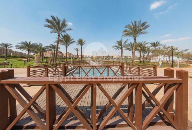 56258615 - صورة العقار 3