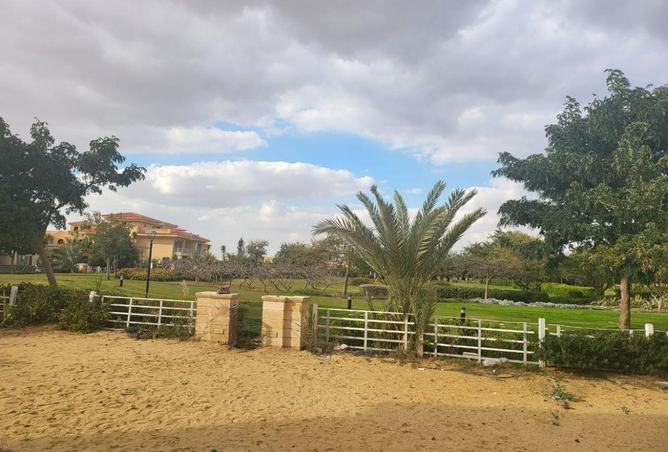 97416436 - صورة العقار 3