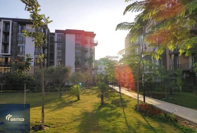 8665593 - صورة العقار 2