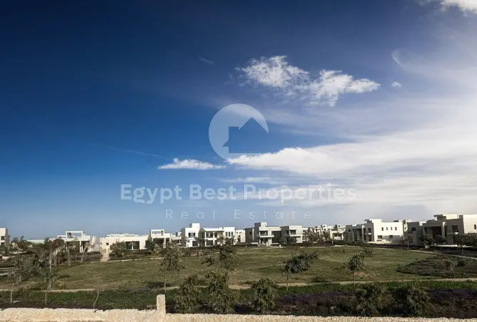113533081 - صورة العقار 3