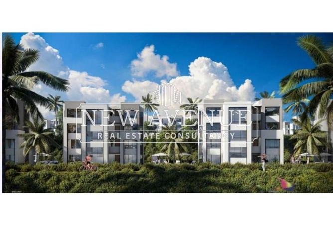 62643584 - صورة العقار 2