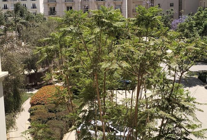 8664634 - صورة العقار 3