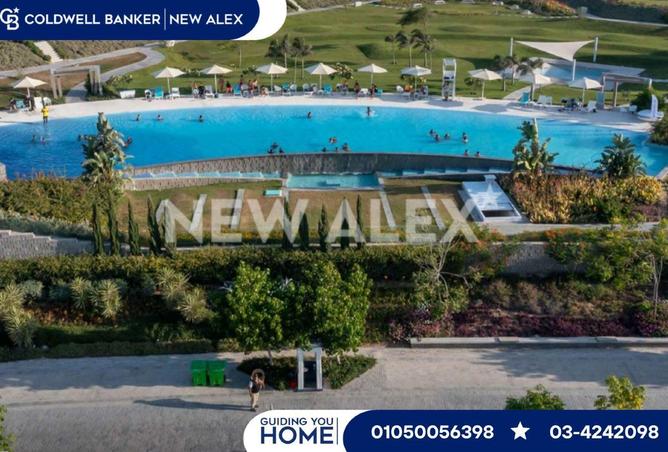 8718622 - صورة العقار 2