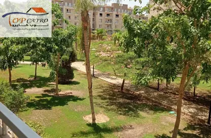 Apartment - 3 Bedrooms - 2 Bathrooms for rent in B11 - Madinaty - Cairo