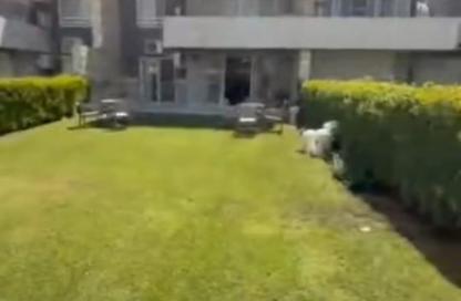 Chalet - 3 - 2 for sale in Blumar - Al Ain Al Sokhna - Suez