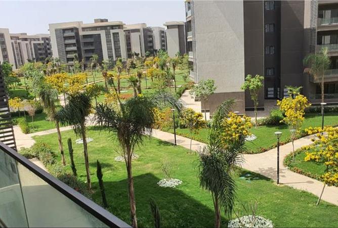 73771507 - صورة العقار 3