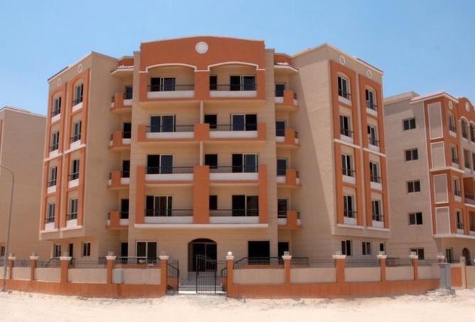 70374188 - Property Image 3