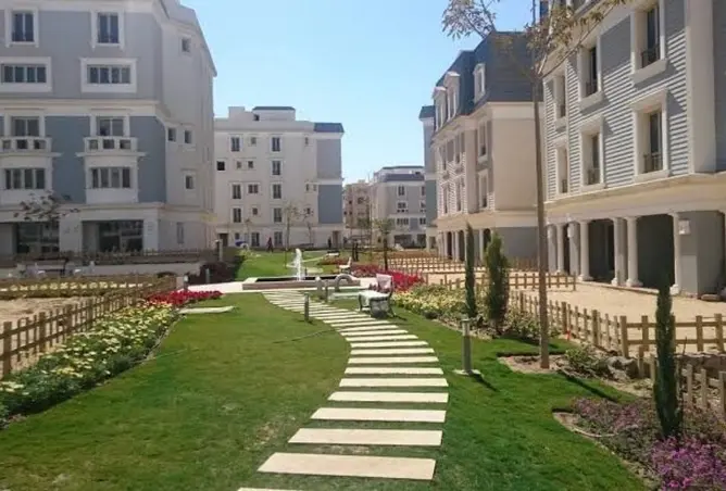 118537054 - Property Image 3