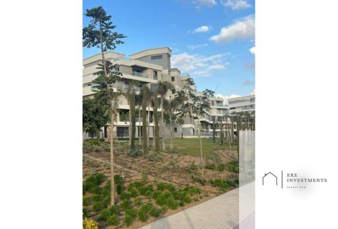 81313313 - Property Image 2