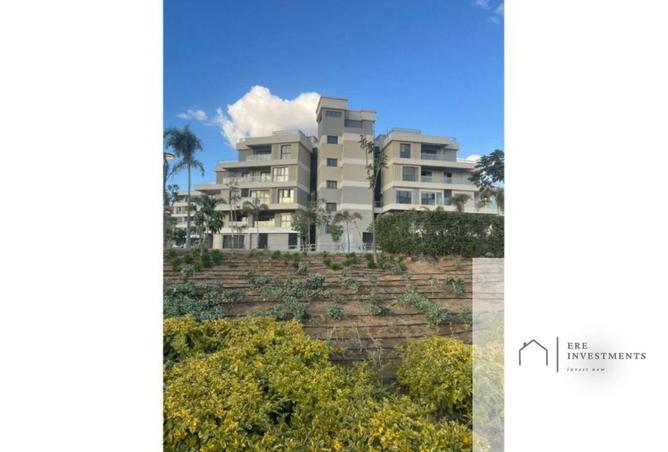 81313313 - Property Image 3