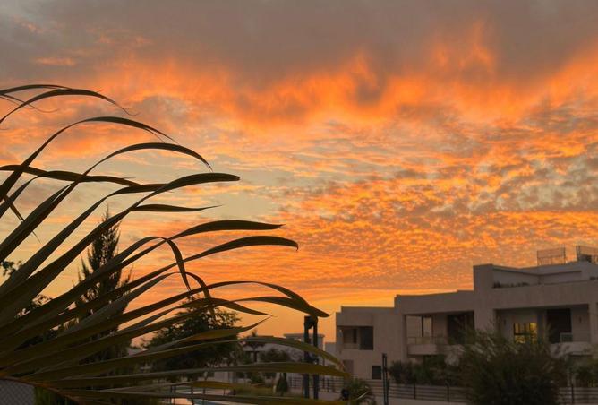 59492629 - صورة العقار 2