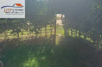 شقة - 2 غرف نوم - 1 حمام للبيع في B2 - مدينتي - القاهرة شقة - 2 غرف نوم - 1 حمام للبيع في B2 - مدينتي - القاهرة