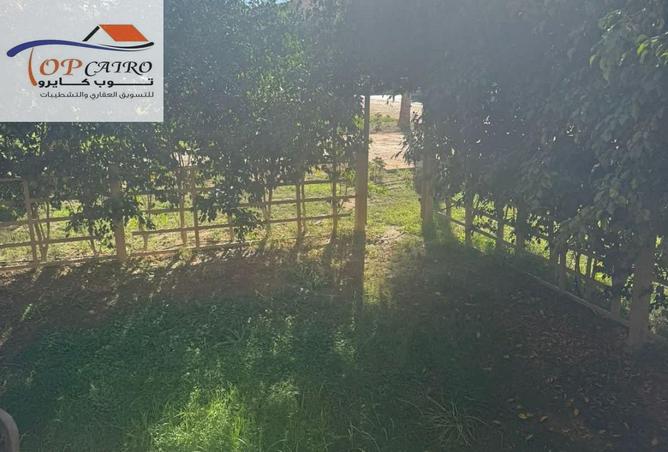 66167733 - الصورة الرئيسية للعقار