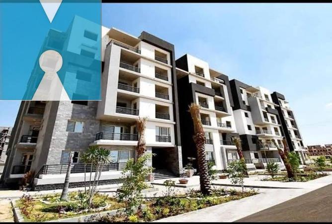 61678609 - Property Image 3