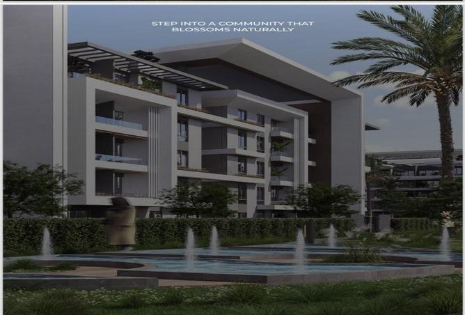 8557602 - Property Image 3