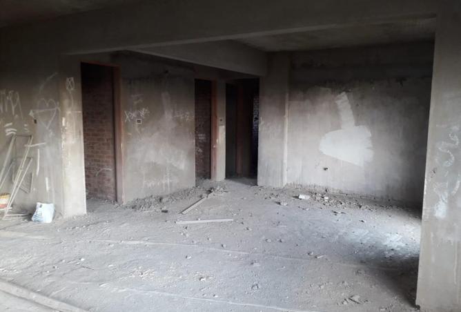 8591233 - Property Image 3