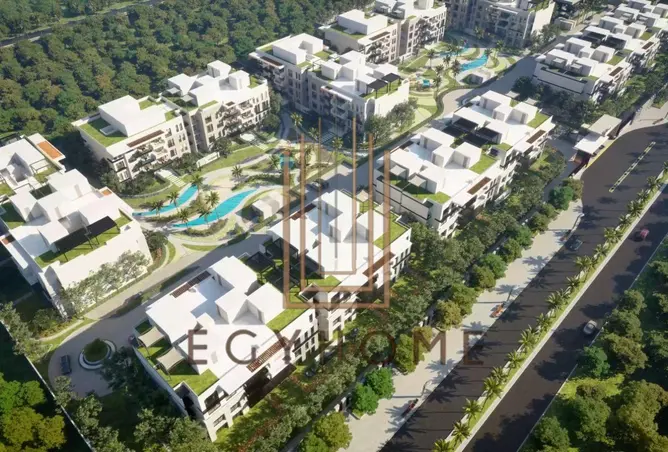 97146990 - Property Image 2