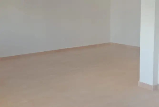 113825699 - Property Image 2