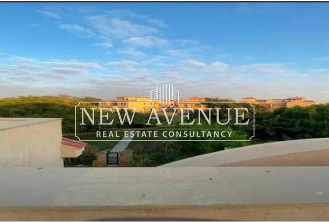 62643919 - Property Image 3