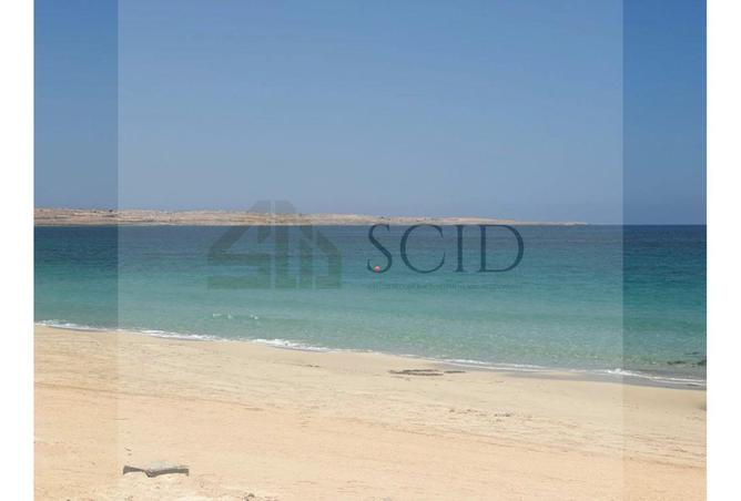 79721201 - Property Main Image