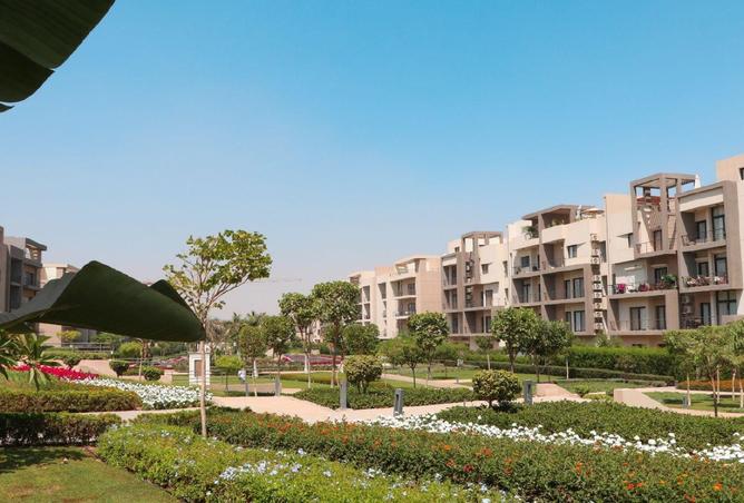 8472898 - Property Image 3