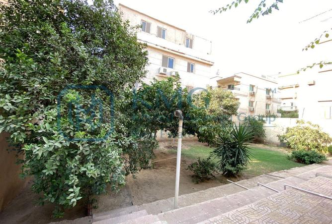 106859394 - صورة العقار 3
