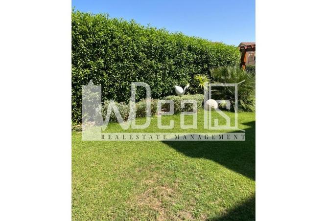 62651864 - Property Image 3