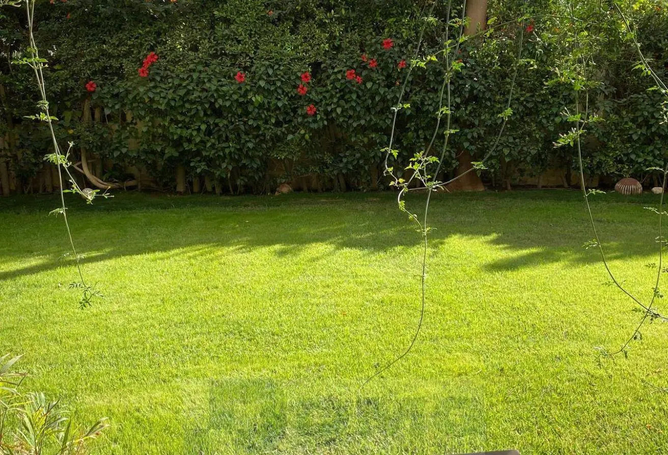 111586543 - الصورة الرئيسية للعقار