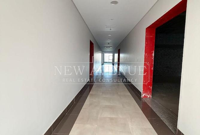 109347562 - Property Image 3