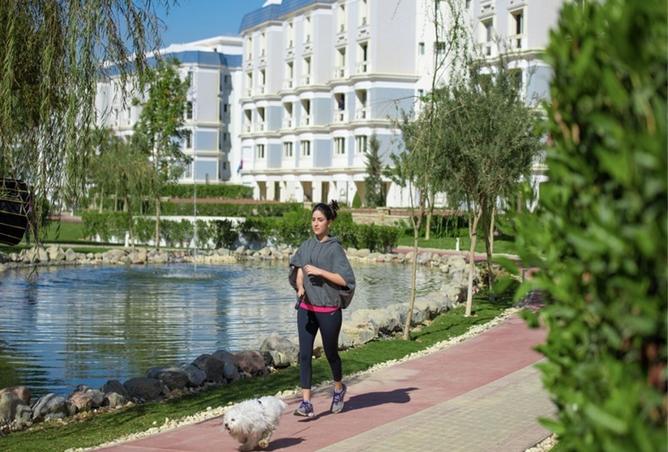 8474702 - Property Image 3