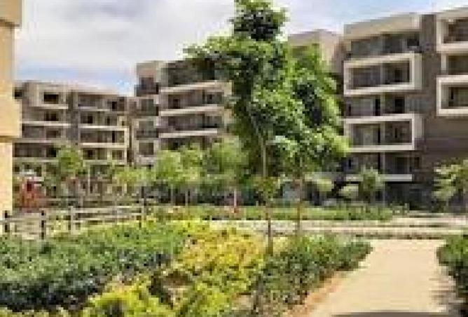 68783928 - صورة العقار 3