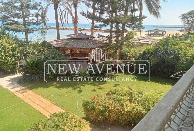 72444119 - Property Image 3