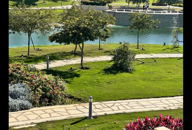 119853806 - صورة العقار 2
