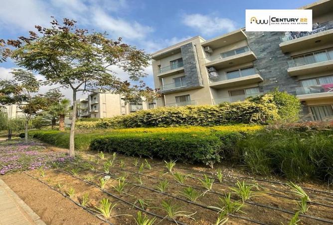 8459977 - صورة العقار 2