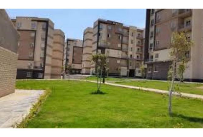 8490728 - Property Image 3