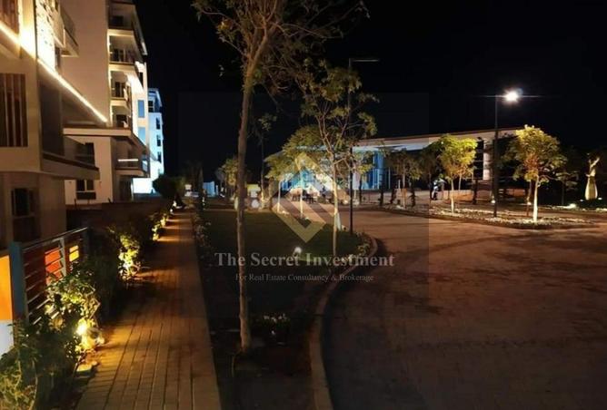 58735958 - Property Image 2