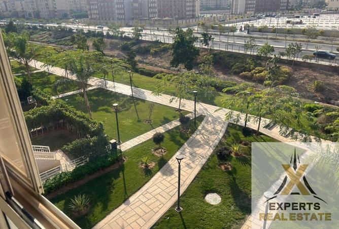 65161553 - الصورة الرئيسية للعقار