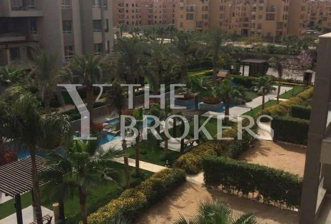 56503800 - صورة العقار 2