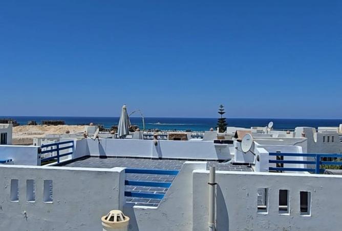 101779573 - صورة العقار 2