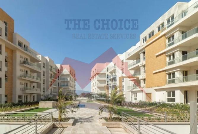 57997510 - Property Image 3