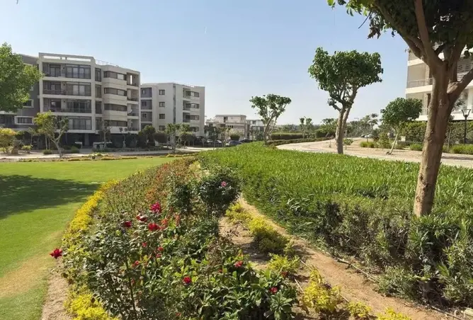 118543946 - صورة العقار 3