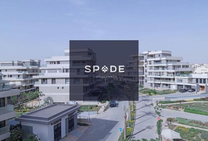 8416960 - Property Image 3